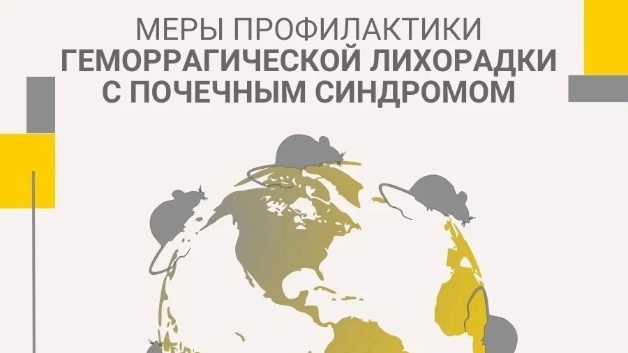 Роспотребнадзор напоминает о том, как обезопасить себя от геморрагической лихорадки с почечным синдромом.