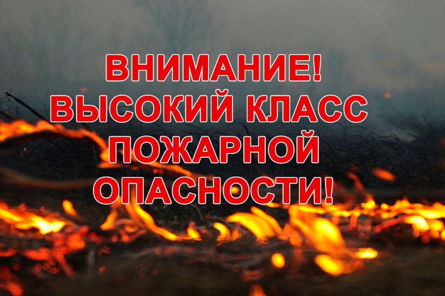 Прогноз погоды.