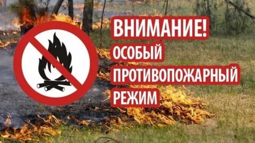 О противопожарном режиме в Удмуртской Республике.