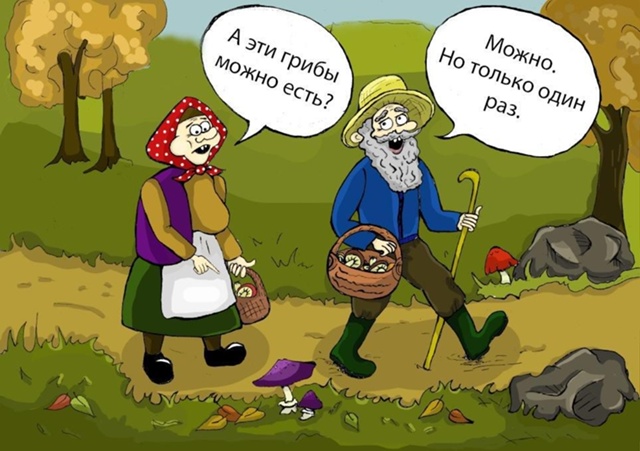 Ягодно-грибной сезон в самом разгаре..