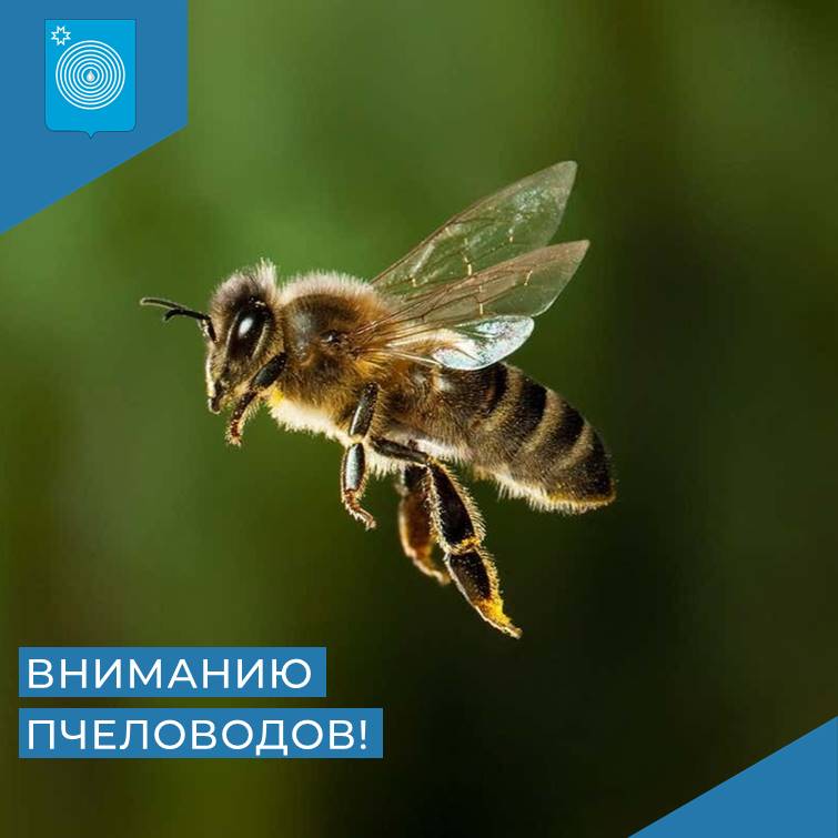 Вниманию пчеловодов.