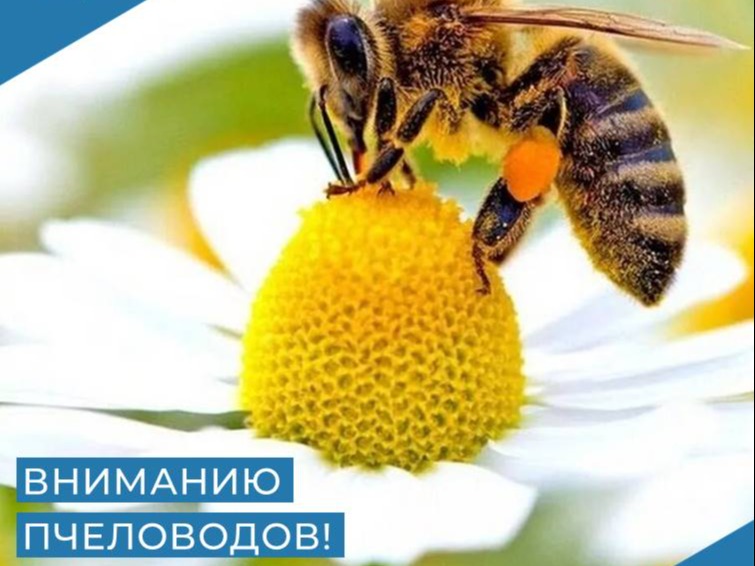 Оповещение о проведении сельскохозяйственных работ с применением пестицидов.