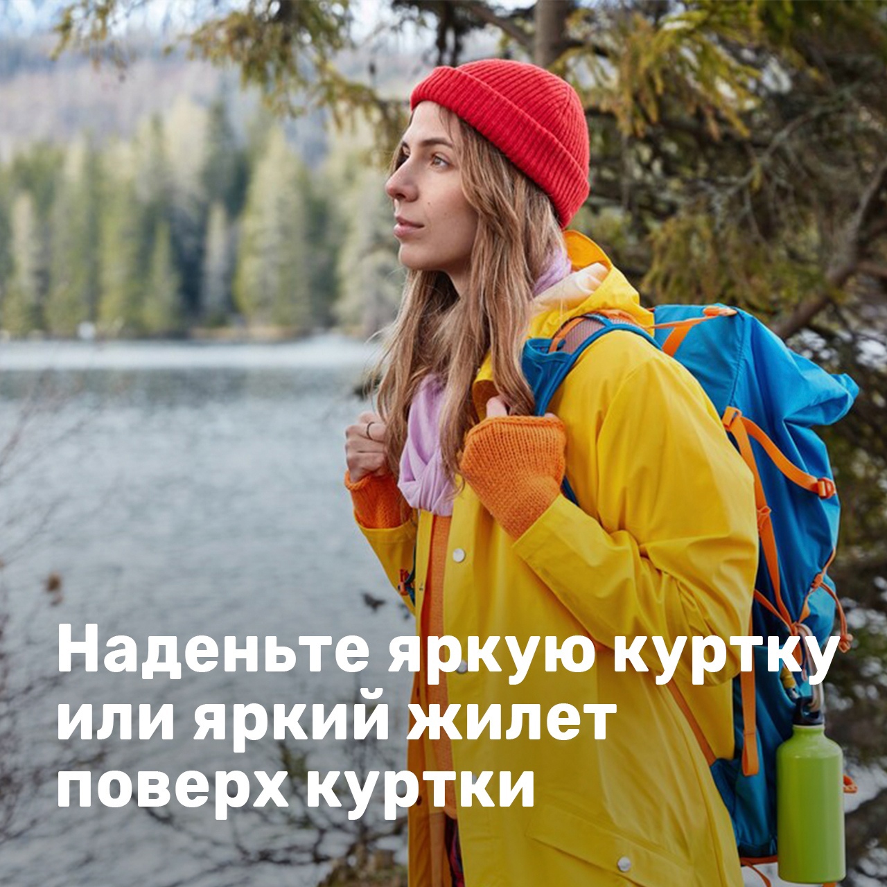 Рядовки, сморчки, трутовики – грибной сезон в Удмуртии открыт!.