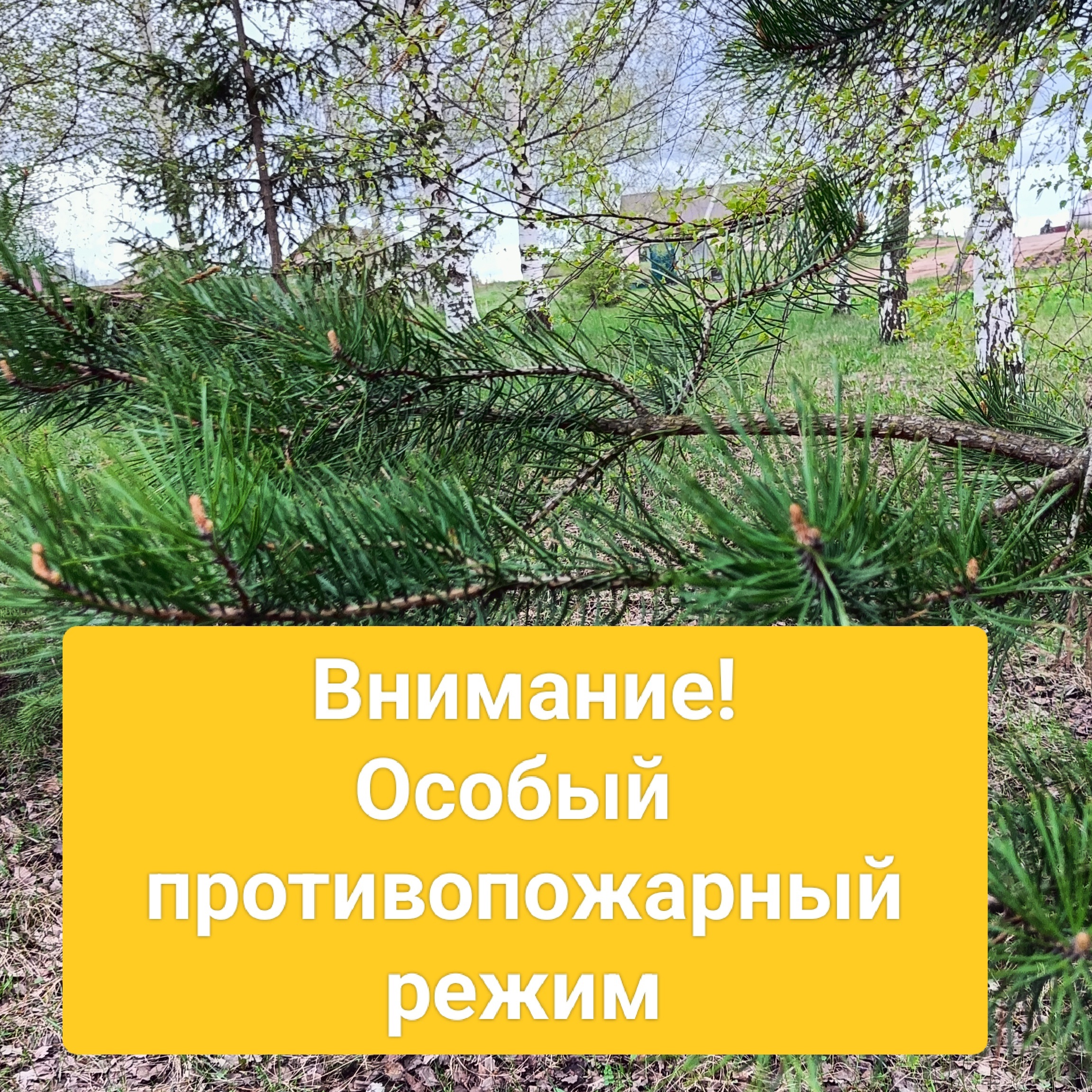 Синоптики обещают впереди жаркие денёчки..